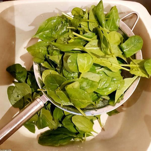 Fresh spinach leaves, wholesale produce